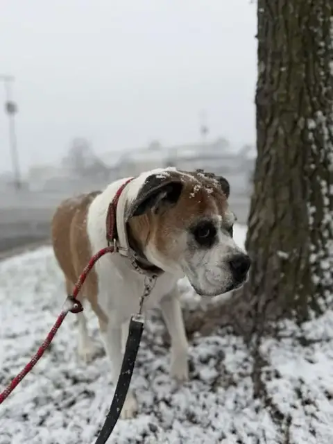 Miss Sammy photo 3