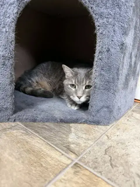 Bella