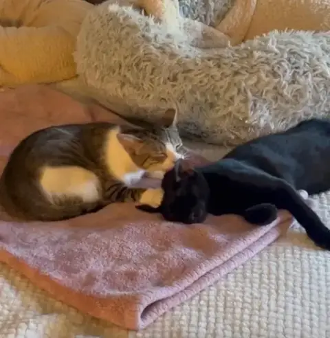 Binx & Nina