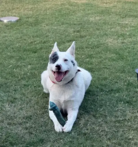Jake photo 2