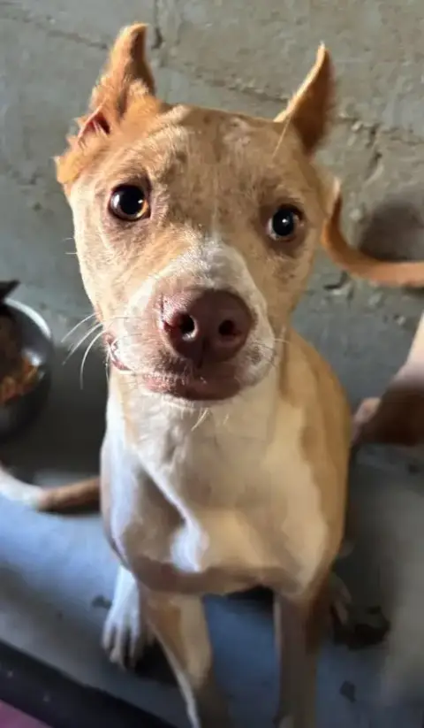 Aurora: At Shelter