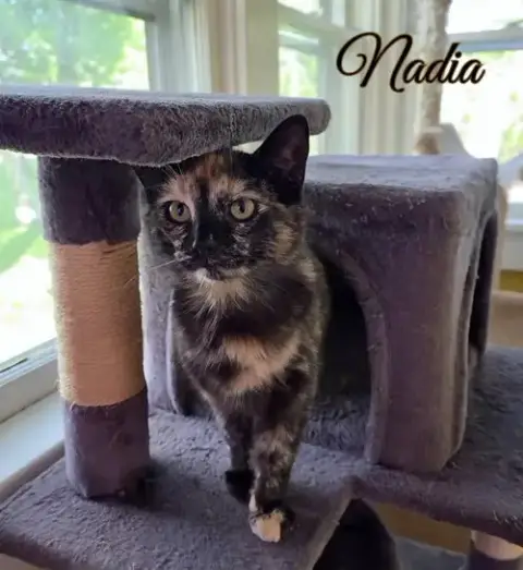 Nadia photo 2