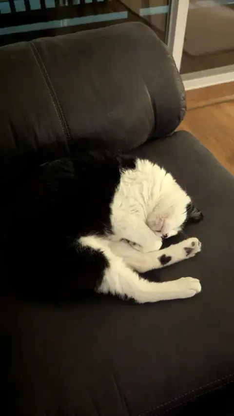 Luna photo 2