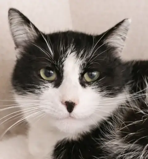 Slush @ Medina Petsmart photo 4