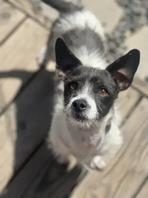 Marty photo 3