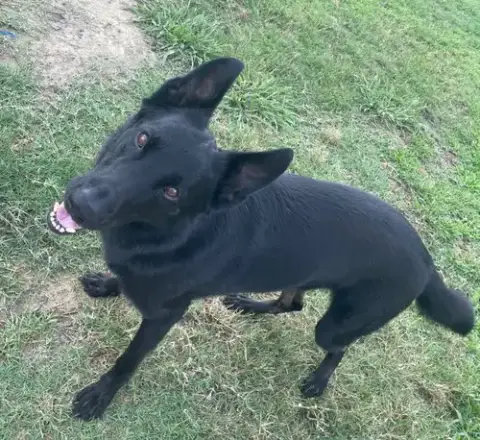 Titus photo 2