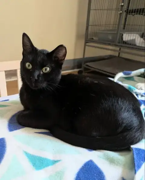Kona photo 2