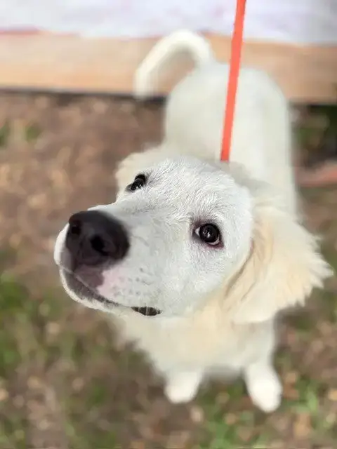 Murphy photo 5