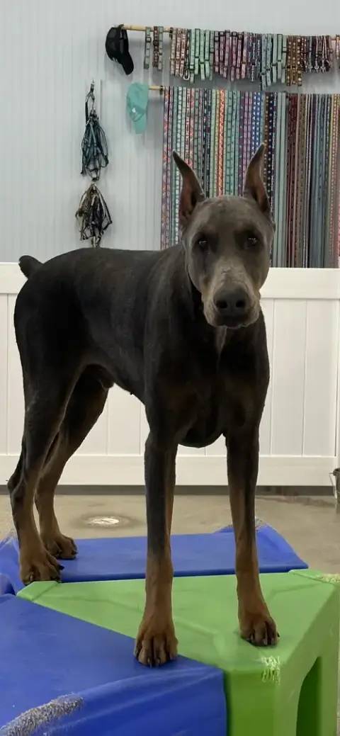 Hades photo 4
