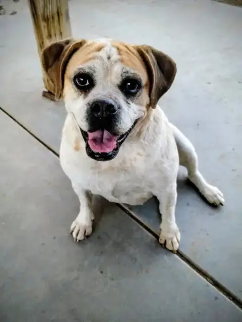 Fiona
