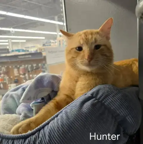 Hunter