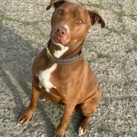 Luna