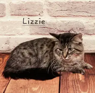 Lizzie #Real-Beauty photo 2