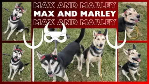 Max photo 2