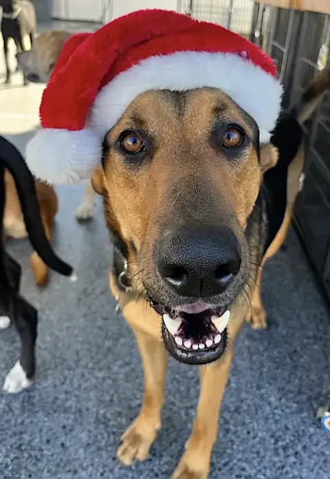 Tucker photo 4