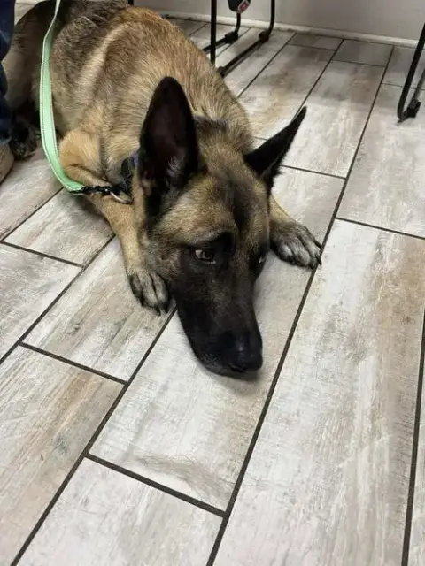 Hunter photo 2
