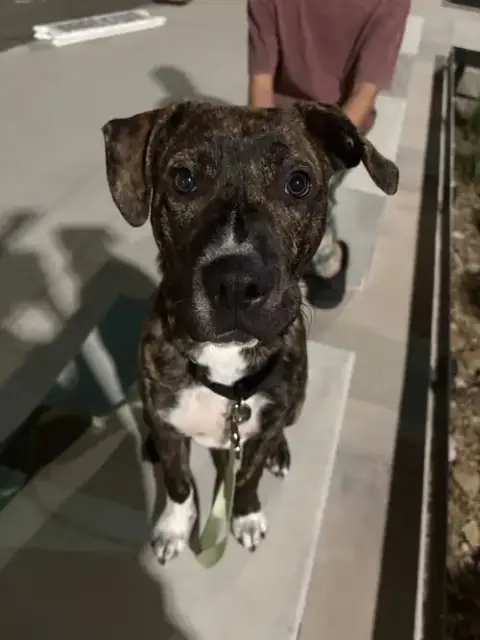 Lennox photo 4