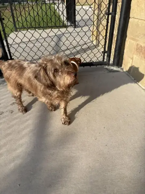 Diggie photo 3