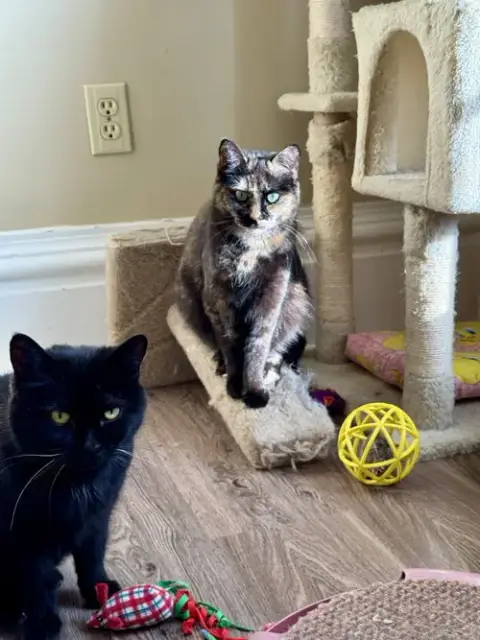 Miss Marbles photo 4