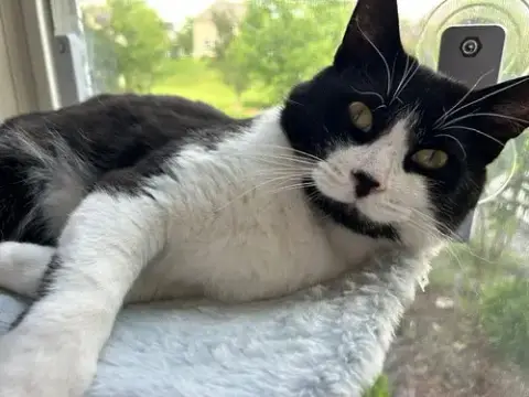 Tibbs photo 2