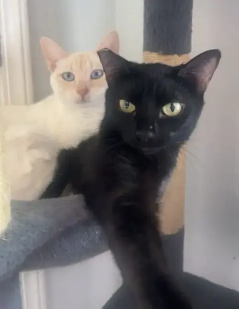 Lucky photo 2