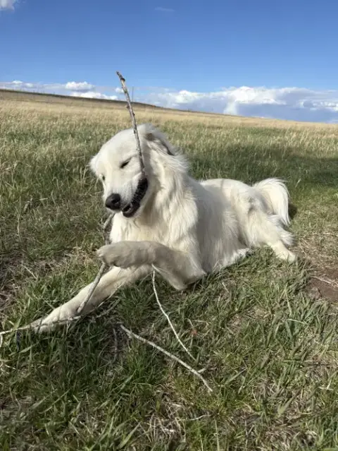 Sophie photo 2