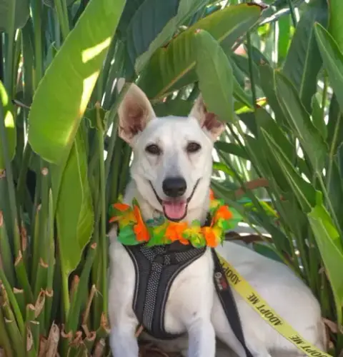 Gracie Mae photo 5