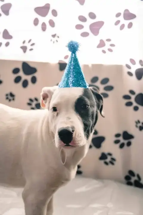 Gus