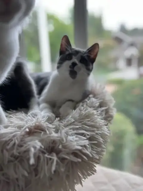 Poppy & Stella photo 5
