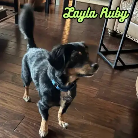 Layla Ruby photo 4