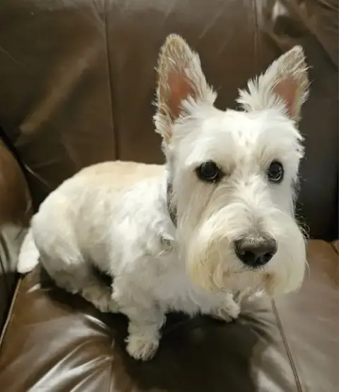 Finley photo 3