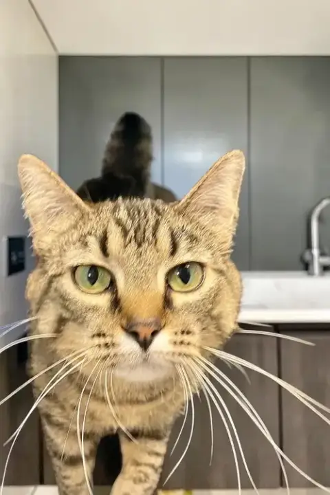 Little One