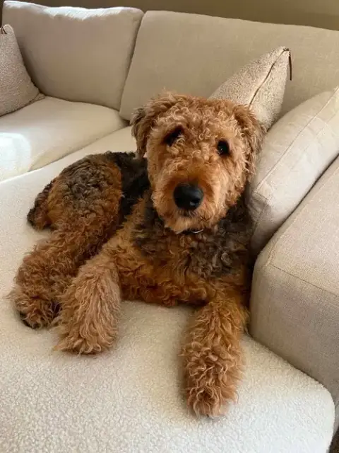 Roy photo 4