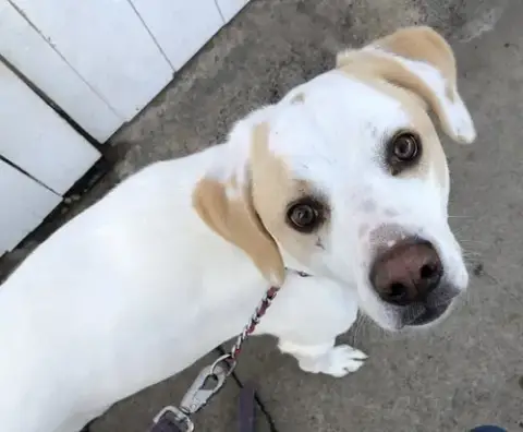 Ben