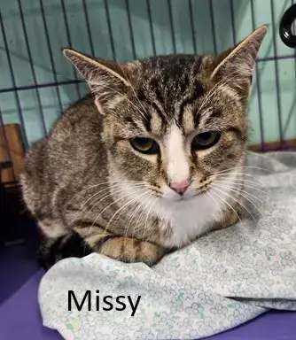 Missy Mae photo 4