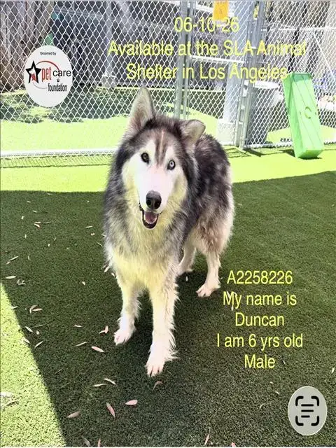Duncan