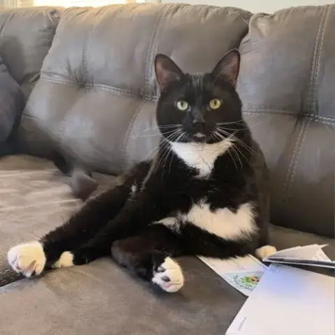 Bo
