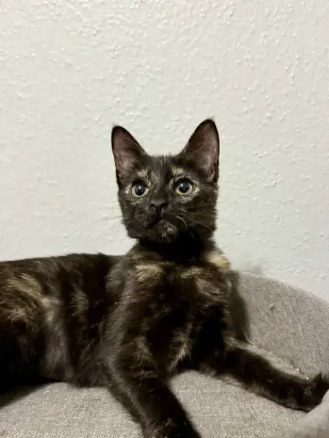 Josie photo 3