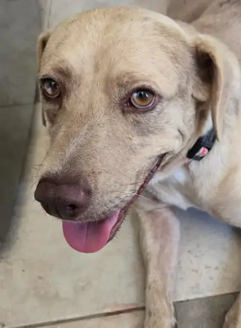 Sadie photo 3