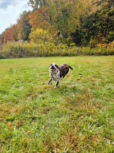 Dewey photo 5