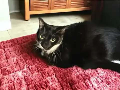 Kali photo 2