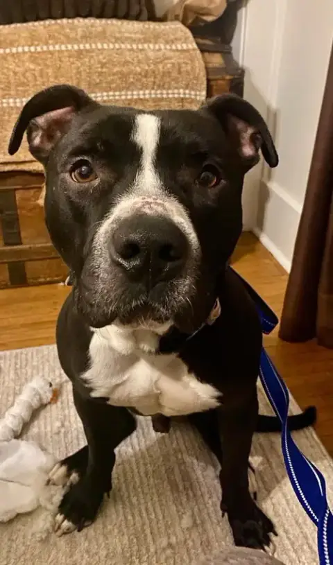 Vader