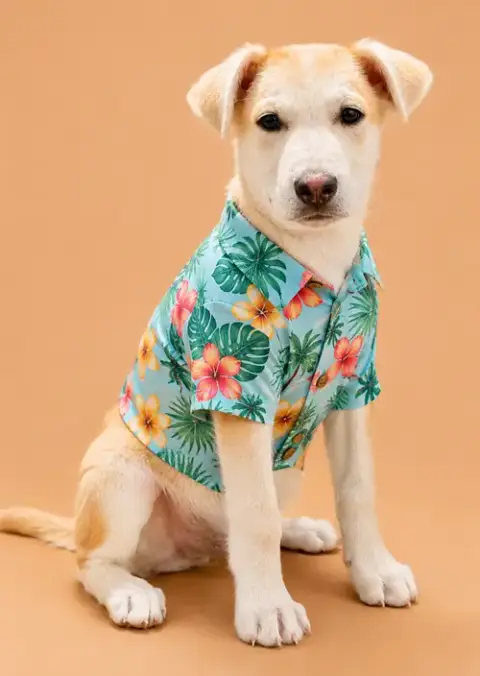 Tropical: Mango photo 3