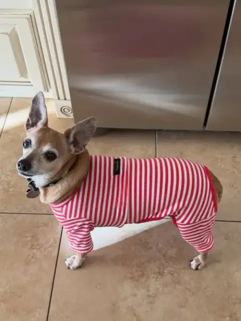 Coco photo 3
