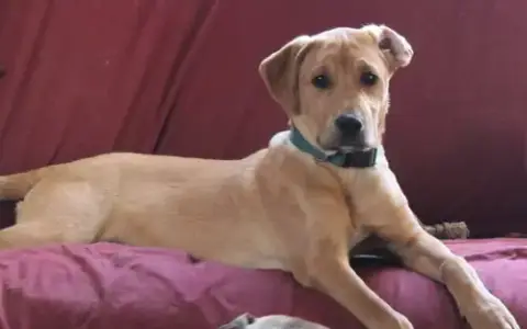 Theodore photo 5