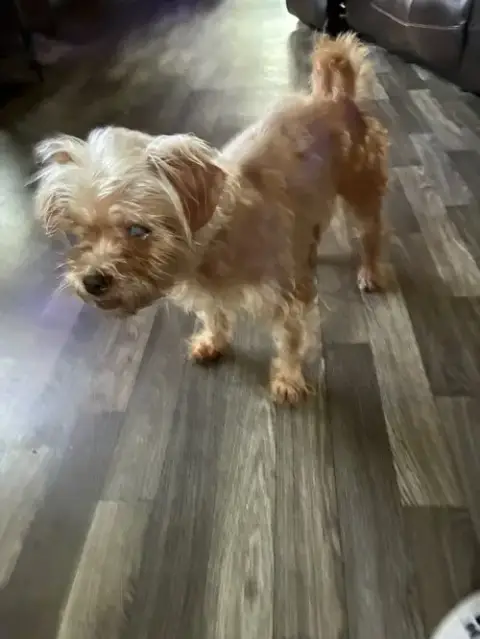 Rosie