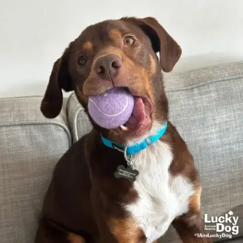 Jack photo 3
