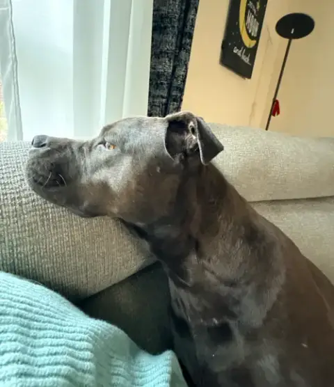 Mocha photo 2