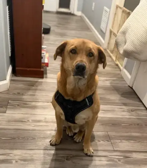 Copper