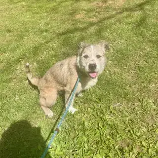 Bonnie